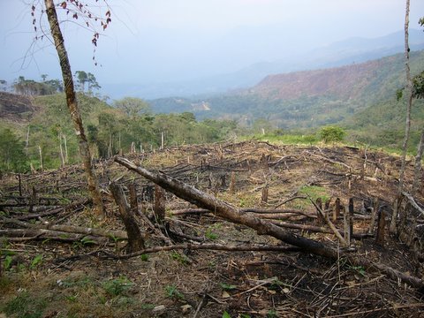 Déforestation entre Calderas et Masparrito