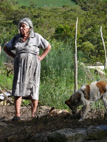 La grand-mère et le chien