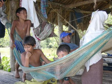 Famille warao dans le delta de l'Orénoque