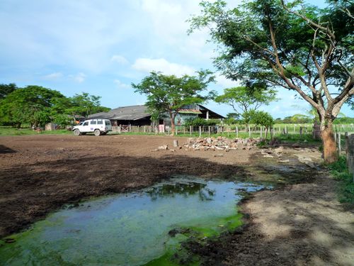 La Fundación Mata de Totumo