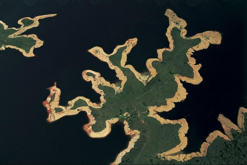 Îlot dans la réserve d’eau artificielle de Guri (Venezuela)