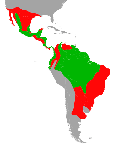 Aire de distribution du jaguar