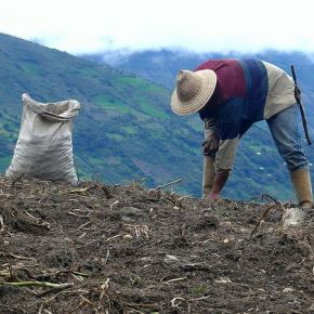 Le paysan andin, sous le regard des&nbsp;autres