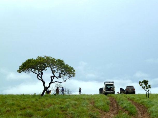 Expédition dans les Llanos