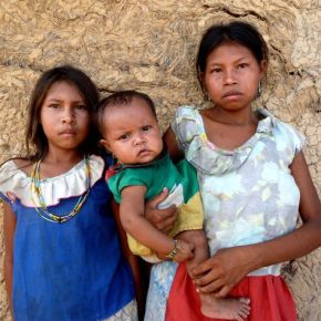 Les <i>Capuruchanos</i>, enfin&nbsp;!