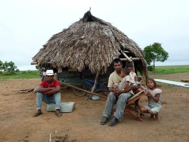 Famille de Capuruchanos