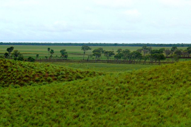 médano de Apure (Venezuela)
