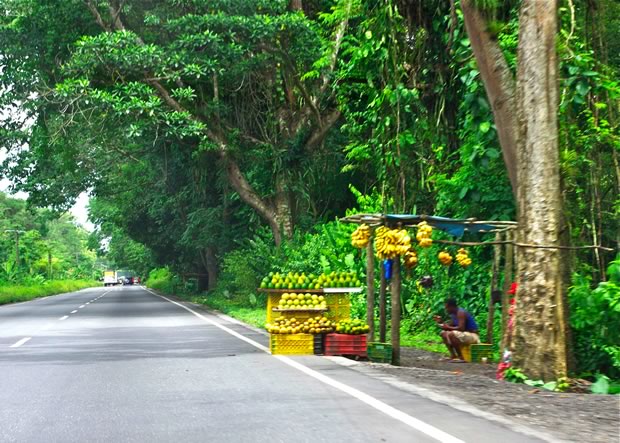 Venezuela : vendeur de fruits