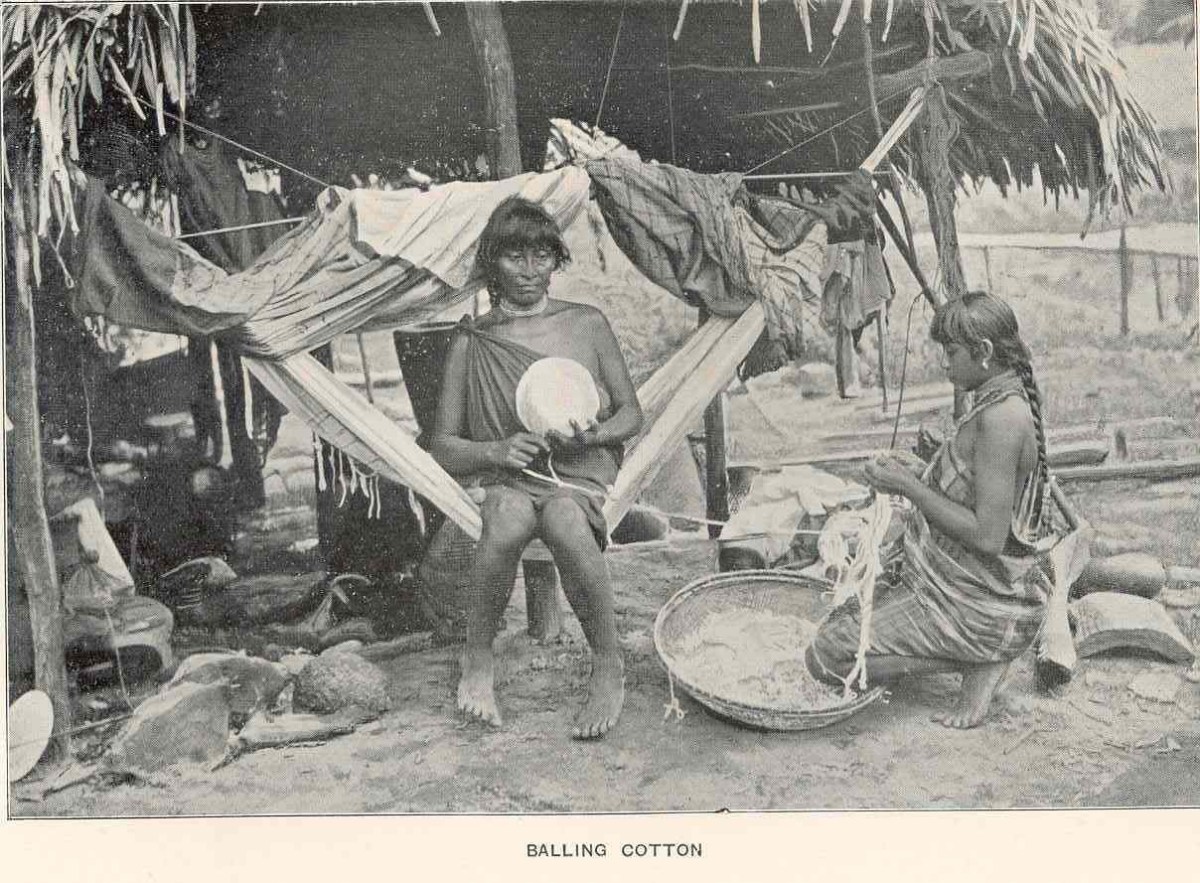 Waiomgomos faisant des balles de coton