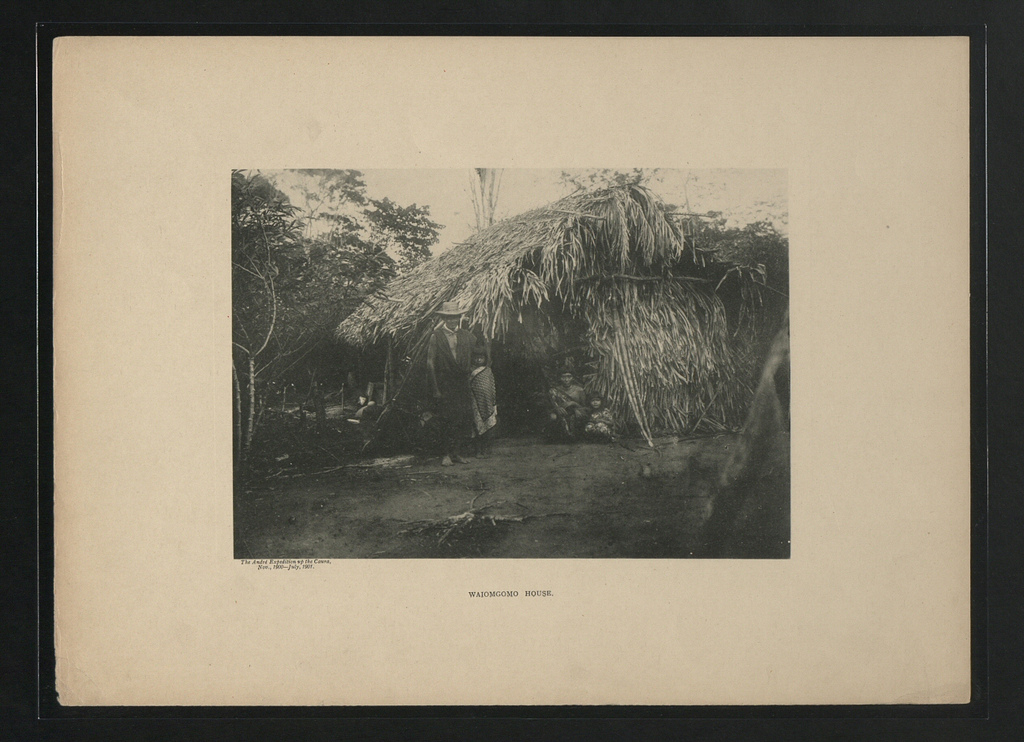 Habitation waiomgomo