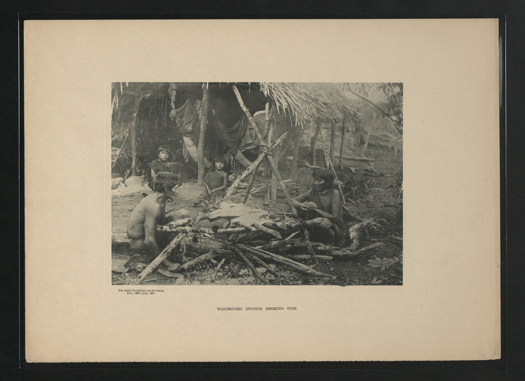 Indiens Waiomgomo fumant du poisson