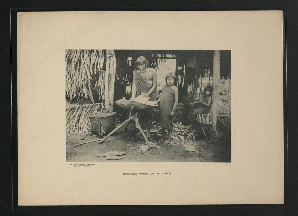 Femme Waiomgomo grattant le casabe