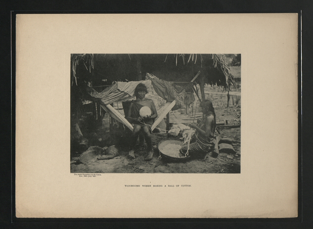 Femmes Waiomgomo faisant une balle de coton