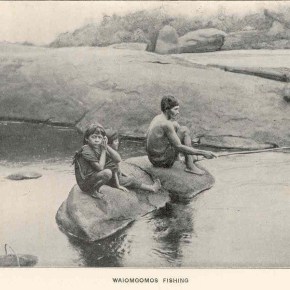 Eugène André au pays des&nbsp;Waiomgomos