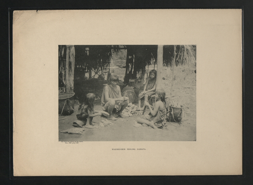 Femmes Waiomgomo pelant le casabe