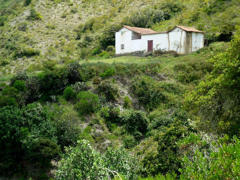 Ancienne hacienda de blé El morro, Mérida, Venezuela